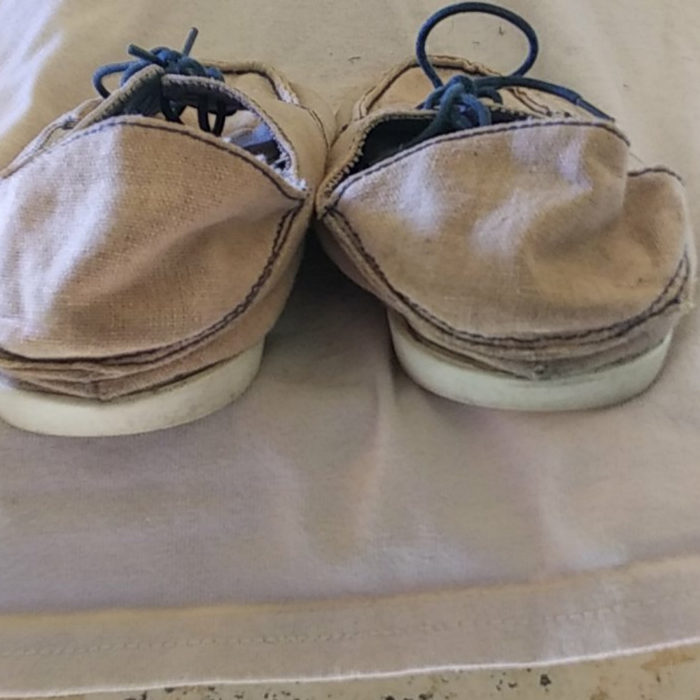 Shies - Picture 4 of 8